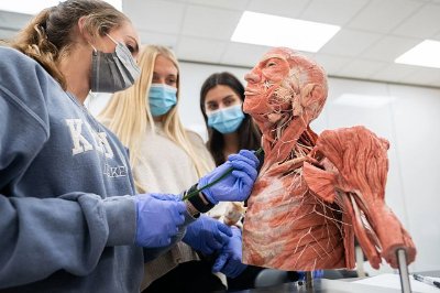 Physician Assistant Symbol